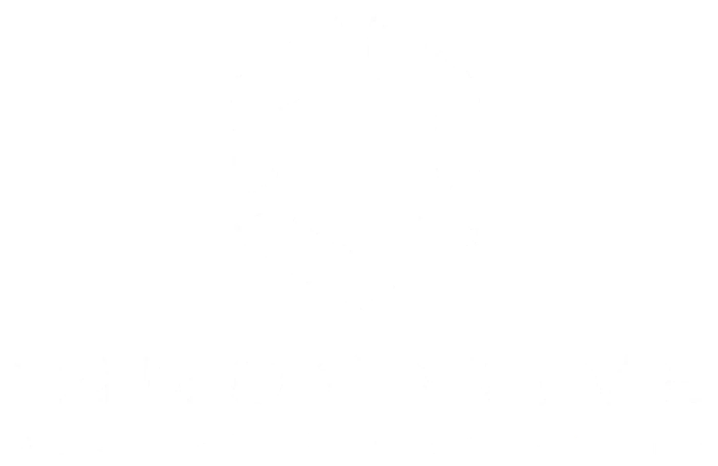 Innovative Measurement Solutions logo
